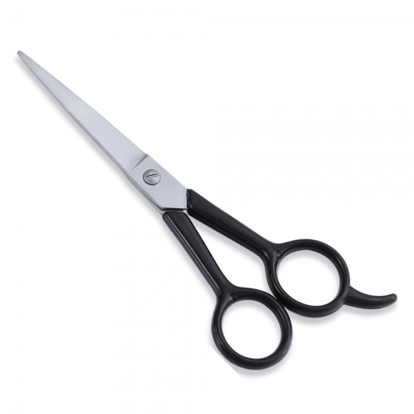 Economy Scissor