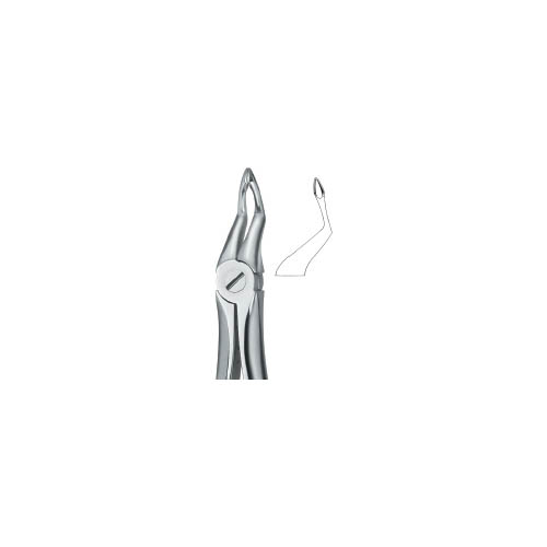 Tooth Ext Forceps